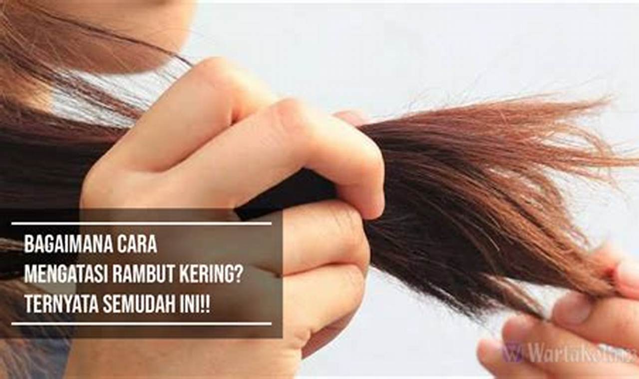 Cara Mengatasi Rambut Kering Cara Mengatasi Rambut Kering